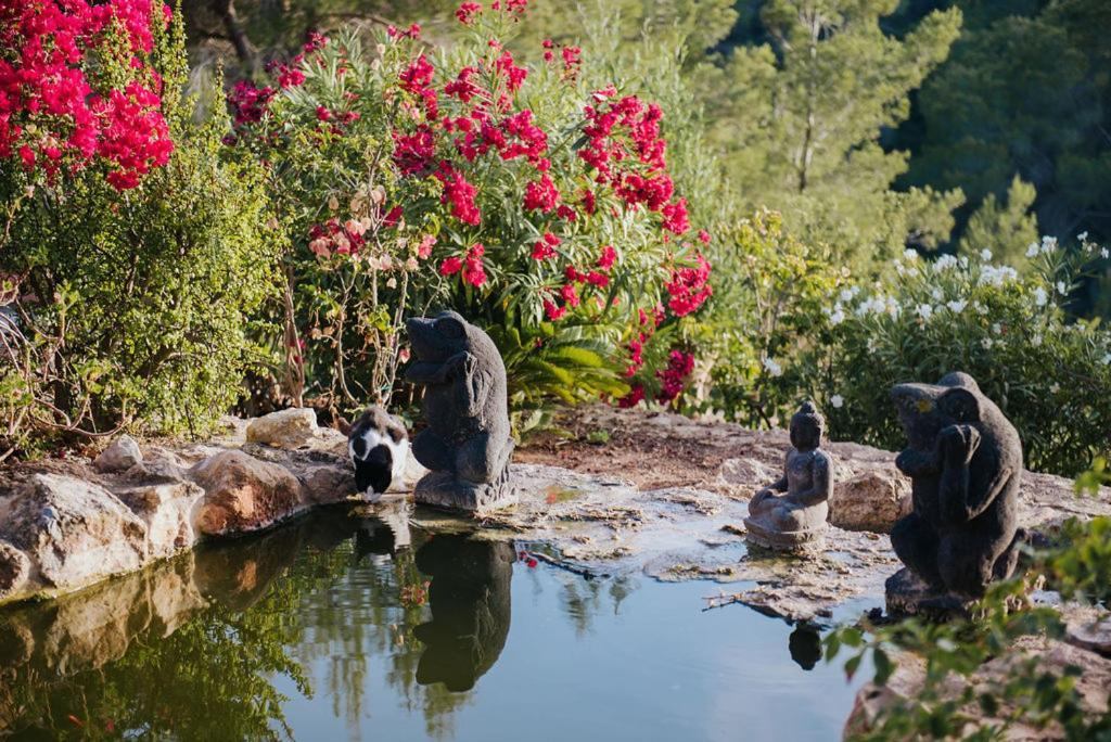 Villa & Guesthouse Paissa D'En Bernat Cala Tarida  Ngoại thất bức ảnh